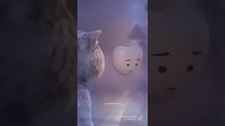 Download lagu kinna kr diya pyaar tu kyo puchhta yara/whatsapp status mp3 Download lagu kinna kr diya pyaar tu kyo puchhta yara/whatsapp status mp3