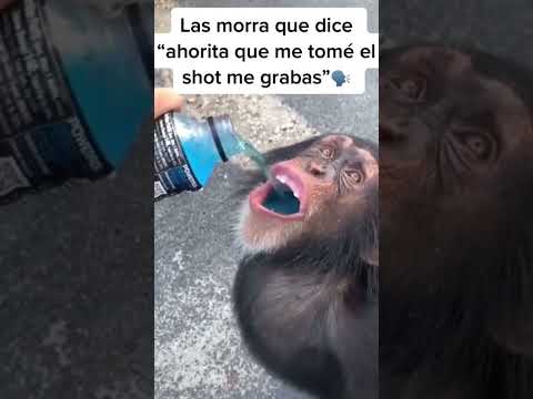 Una por chabelo 🗣️ #shorts  #humor #meme #Chabelo