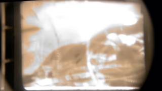 Des Ark - Nitetime Moths