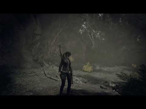 Ruiny Kuwak Yaku: część 1/2 Shadow of the Tomb Raider (odc.34)