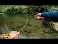 Tough Conditions Tiny Streams Fly Fishing NZ