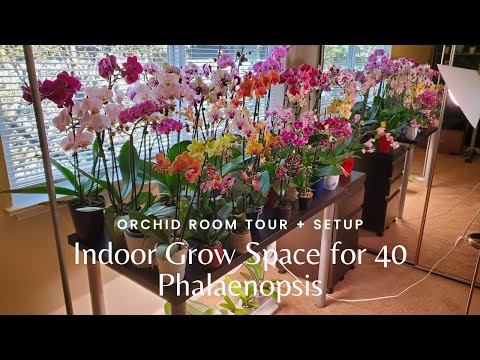 Orchid Room Tour + Setup | Indoor Grow Space for 40 Phalaenopsis