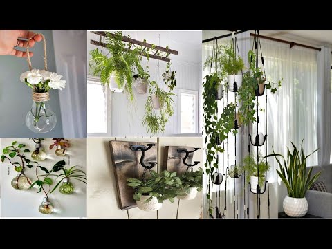 , title : 'Inspire se com estas 18 ideias de plantas na decoração! Ideias de suporte para decorar!'