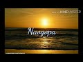 Rayvanny - Naogopa lyric video