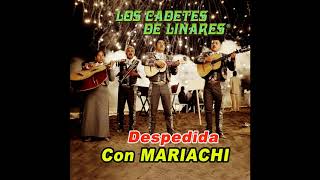 Me Voy Amor - Los Cadetes de Linares