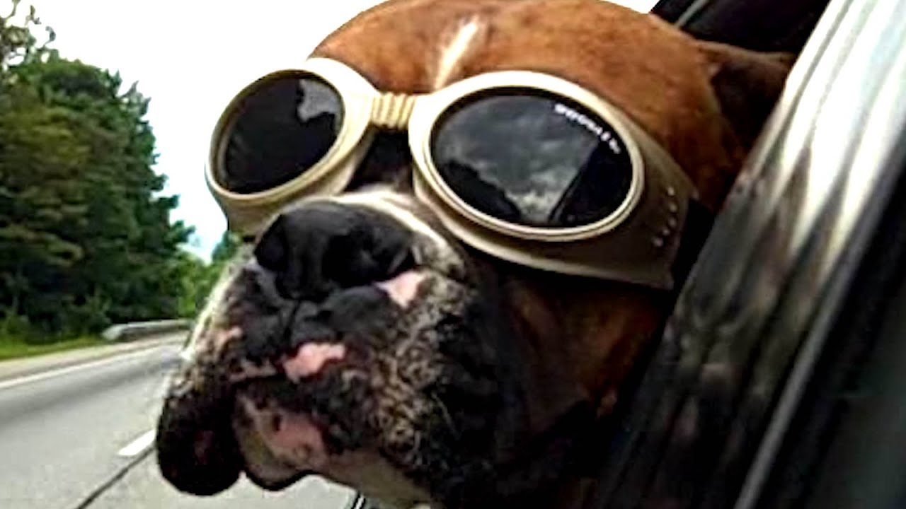 YouTube video preview