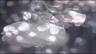 George Michael- I Remember You