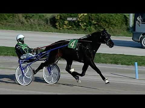 Aversa trotto 16 Dicembre 2020 - 1° Corsa