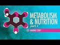 Metabolism Nutrition Part 1 Crash Course Anatomy Physiology 36