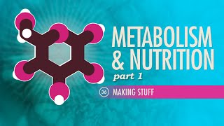 Metabolism & Nutrition