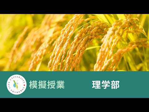 理学部　模擬授業｜ゲノム編集による​農作物改良​｜横浜市立大学 ONLINE オープンキャンパス 2025