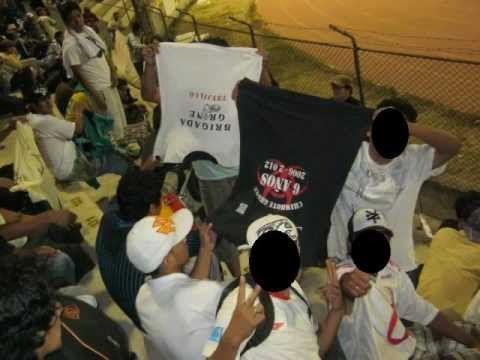 Centella triste gorrion