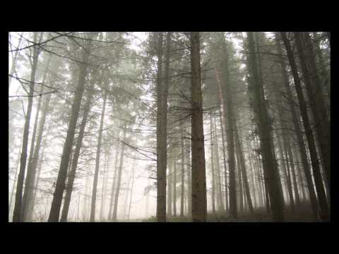 Zöldövezet 2014 június