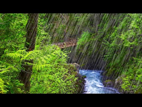 Rushing River Rapids & Rainstorm | Water Sounds with Rain White Noise