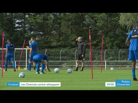 Les Chamois niortais écopent d'une amende de 250.000 euros et seront privés de Coupe de France