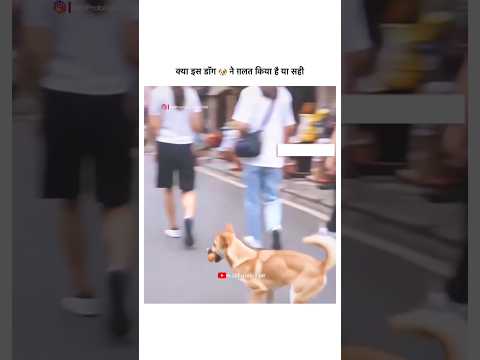 Please help the animal🥺🙏#prabhasblogger #mydog #animallovers #short