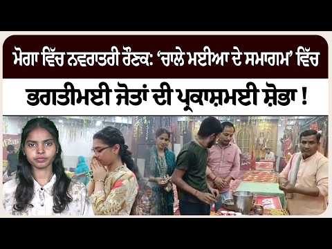 ਮੋਗਾ ਵਿੱਚ ਨਵਰਾਤਰੀ ਰੌਣਕ: ‘ਚਾਲੇ ਮਈਆ ਦੇ ਸਮਾਗਮ’ ਵਿੱਚ ਭਗਤੀਮਈ ਜੋਤਾਂ ਦੀ ਪ੍ਰਕਾਸ਼ਮਈ ਸ਼ੋਭਾ !