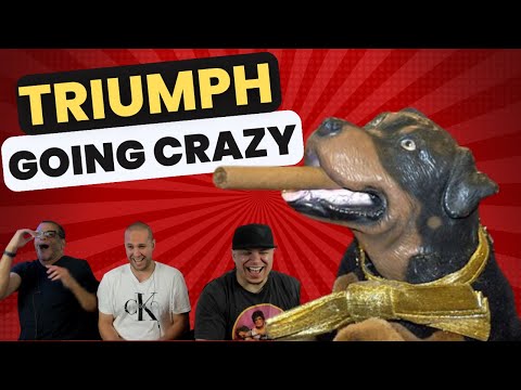 THIS DOG IS CRAZY🤣🤣 Triumph the Comic Dog