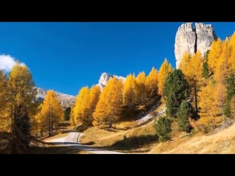 DIMMI CHE CREDI - Antonello Venditti - (con testo)