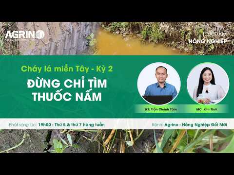 Tọa đàm sầu riêng - Agrino: CHÁY LÁ MIỀN TÂY KÌ 2 - ĐỪNG CHỈ NHÌN THUỐC NẤM