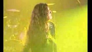 Perro Traidor - Saratoga