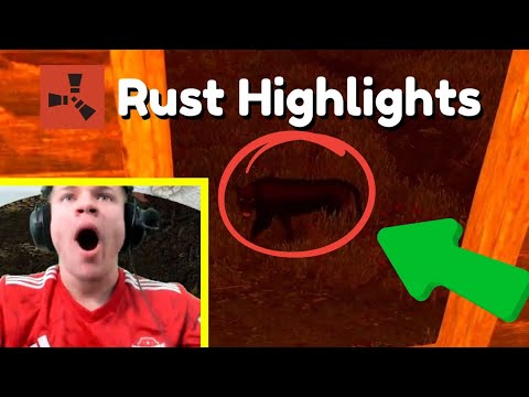 BEST RUST TWITCH HIGHLIGHTS & FUNNY MOMENTS #33 | Epic Plays & Fails