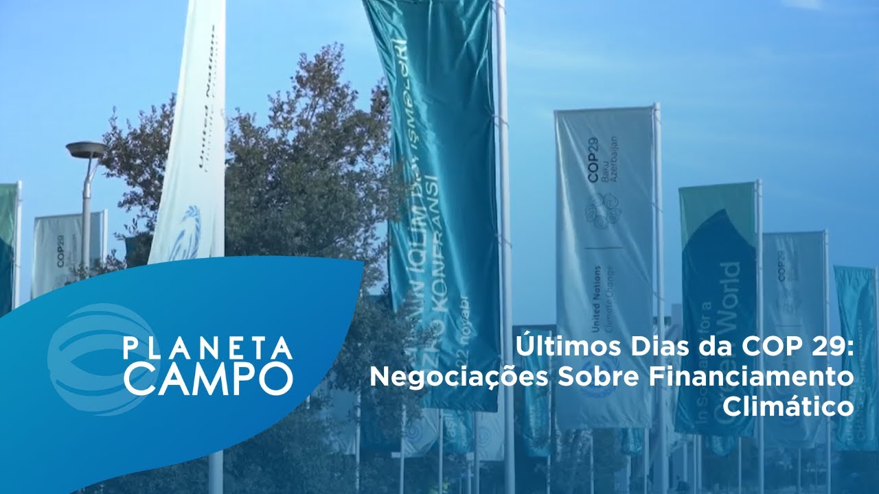 Últimos Dias da COP 29: Negociações Sobre Financiamento Climático