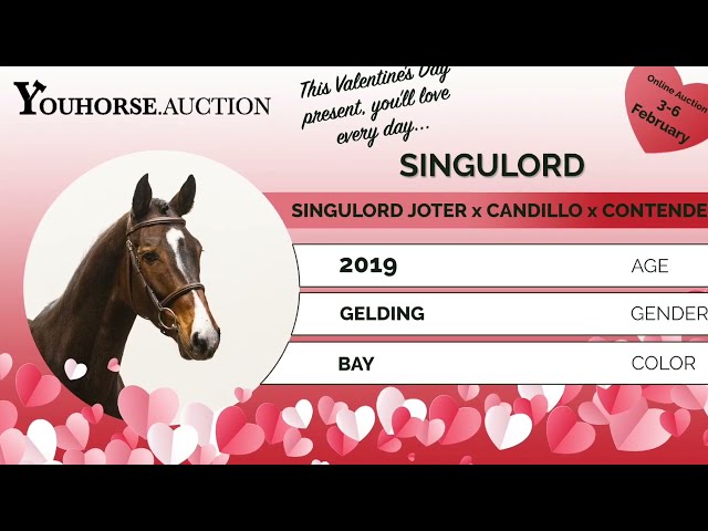 Singulord showvideo