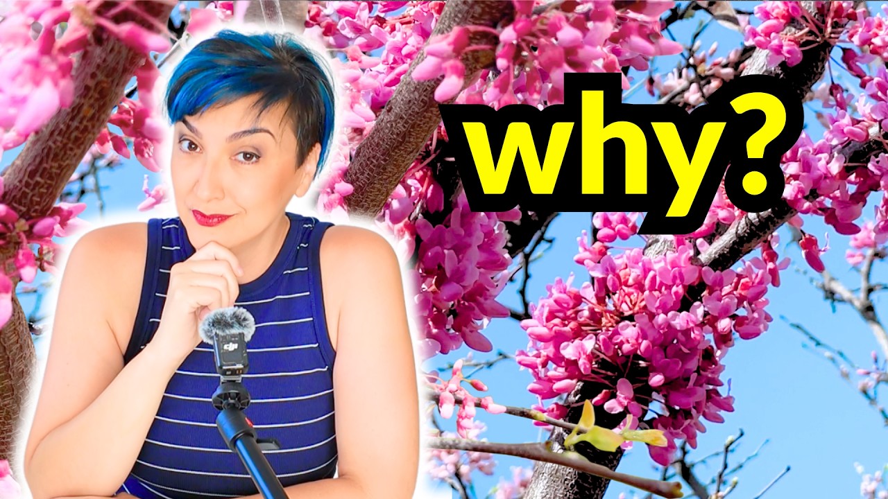 The Best Native Tree We're Cutting Down