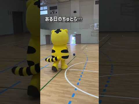 建築学科 【中部大学公式】中部大学学生SNS広報委員会　ブレイヴキングス刈谷 ブレッキン×ちゅとらコラボ動画　ブレッキン登場編 #Shorts#コラボ動画