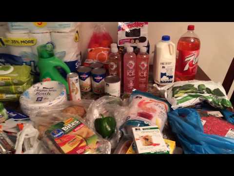 Grocery Haul | Dollar General & Food Lion