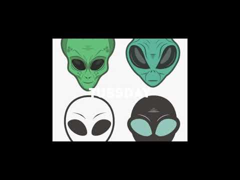 GHETTO GECKO - TUSSDAY🧠