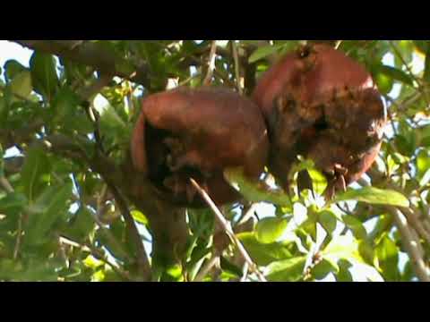 court documentaire "l'eau en poudre" de ZIED YAKOUBI