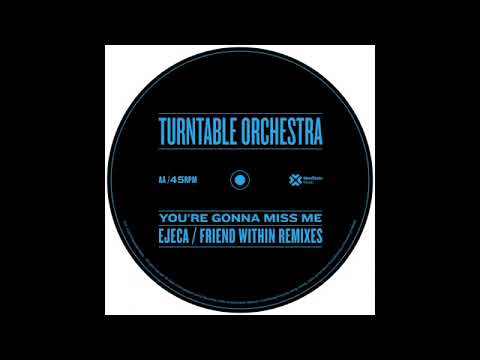 Your Gonna Miss Me When Im Gone The Turntable Orchestra 1988