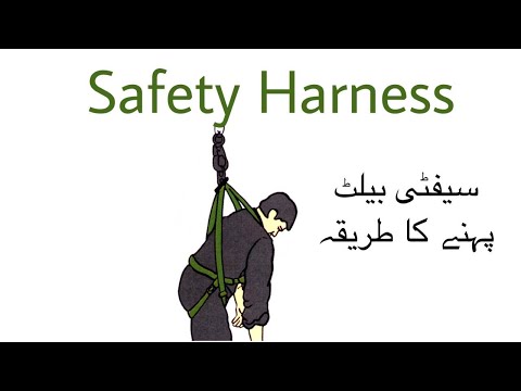 Safety Harness