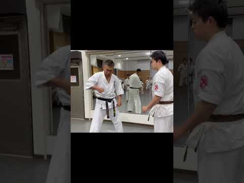 極真会‼️三日月🌙蹴りと後ろ蹴り #kyokushin #karate #極真空手 #空手道 #空手女子