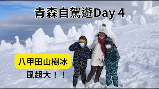 [遊記] 青森自駕遊4:八甲田山樹冰、奧入瀨溪