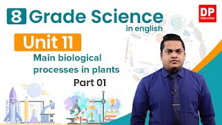 Lesson 11  - Main biological processes in plants (