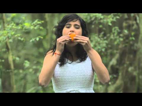 Veranizar video