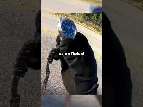 ¡Un motociclista encontró un Rolex en el suelo! 😳 #shorts