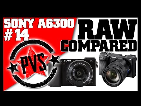 Sony A6300 vs. A6000 - RAW Image Comparison