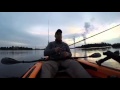 The Fish Call