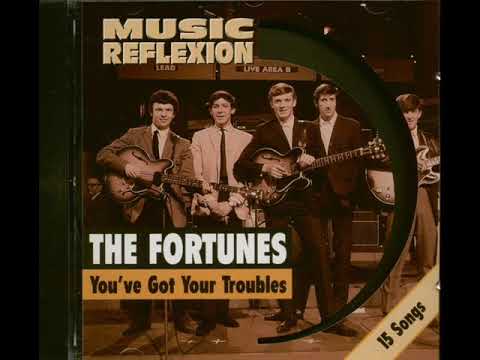 THE FORTUNES- "YOU'VE GOT YOUR TROUBLES" (LYRICS)