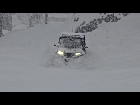 Half a Meter of Snow? Grizzly & RZR XP GO BEAST MODE! ❄️🔥