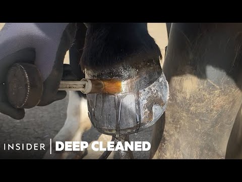How Horse Hooves Are Deep Cleaned