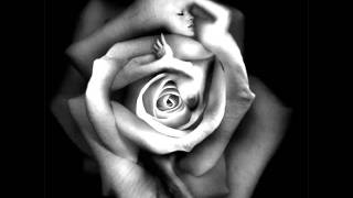 DESDE QUE TE PERDI . ADAN L. D. EN GITARRA