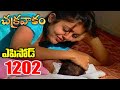 Episode 1202 Chakravakam Telugu Daily Serial Srikanth Entertainments Loud Speaker
