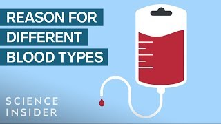 Why You Can&#39;t Mix Blood Types