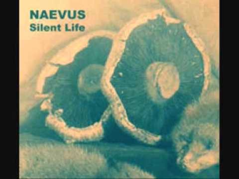 Naevus - Dominic Song