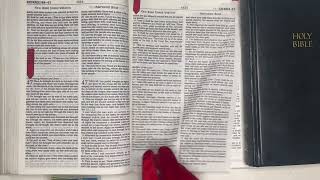 Your DAILY BREAD, THE BIBLE:10/12/25 Psalm 119:161-176, Ezekiel 47:1-48:35, Luke 4:1-44.
